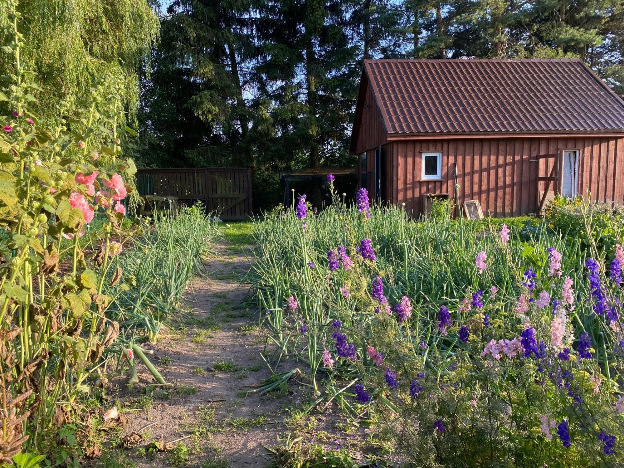 Agroturystyka Omelia Człuchów Exteriér fotografie