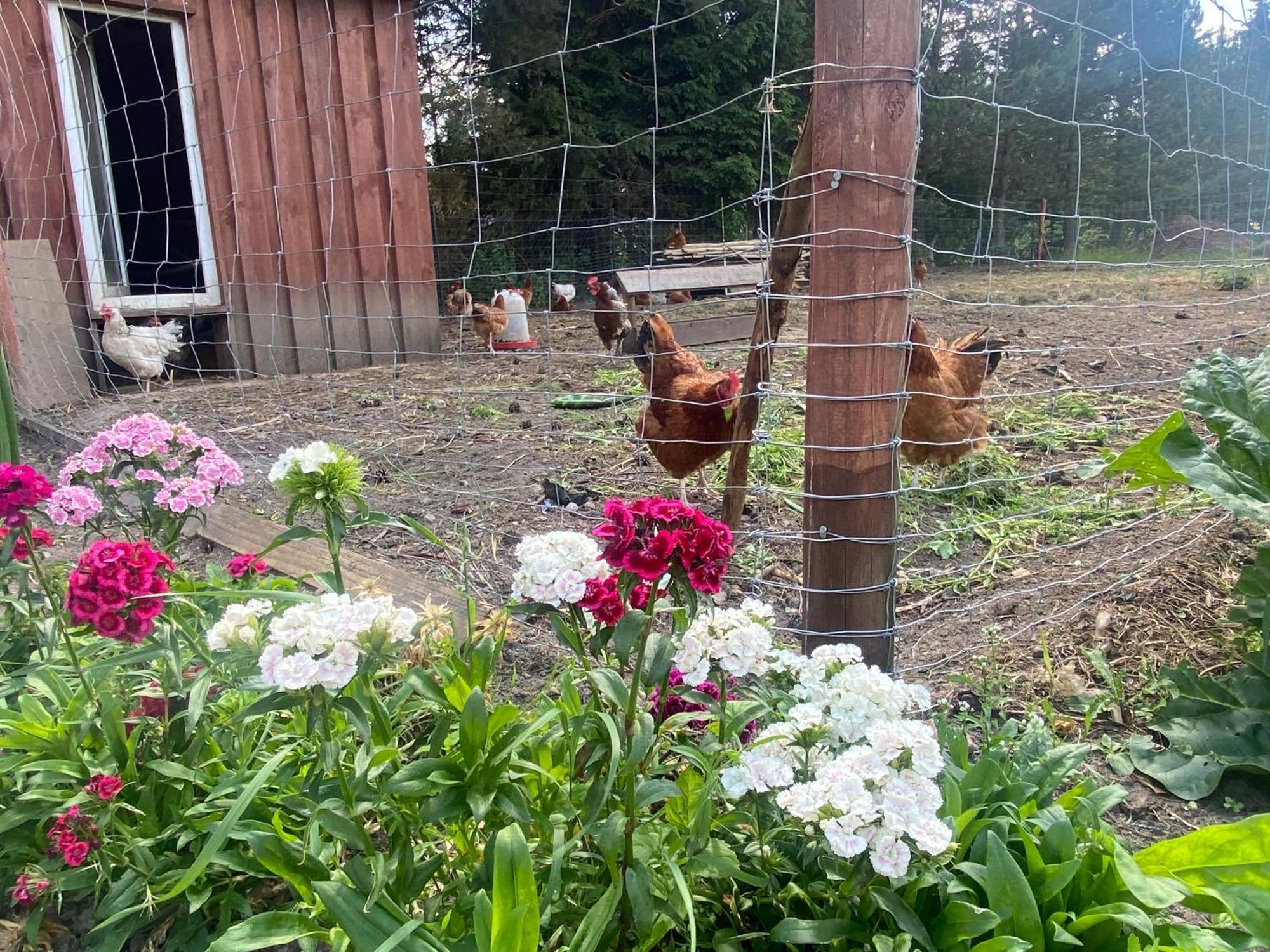 Agroturystyka Omelia Człuchów Exteriér fotografie